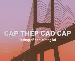 ẢNH HOẠT ĐỘNG 2