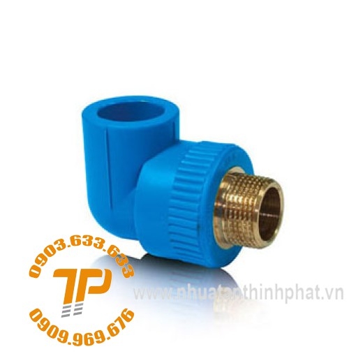 CO REN NGOÀI THAU PPR