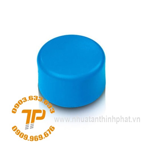 NẮP BỊT ỖNG PPR