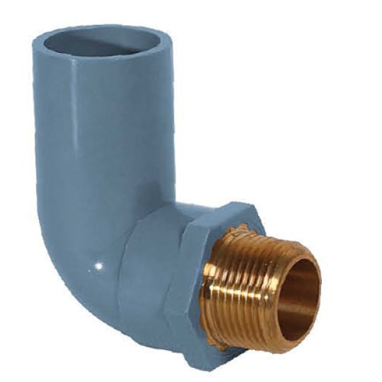 CO REN NGOÀI ĐỒNG