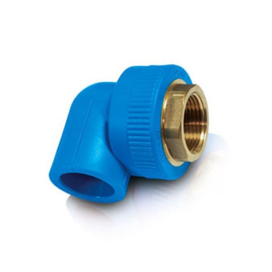 CO REN TRONG KÉP PPR