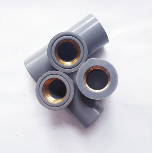 TÊ REN TRONG ĐỒNG